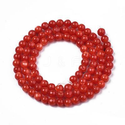 Natural Freshwater Shell Beads Strands X-SHEL-N003-24-B05-1