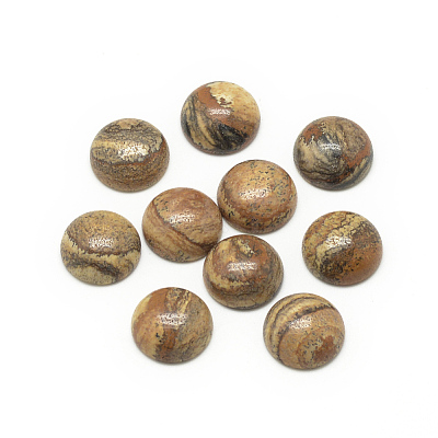 Natural Picture Jasper Cabochons G-R416-12mm-42-1