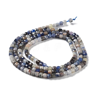 Natural Sodalite Beads Strands G-J400-A06-01-1
