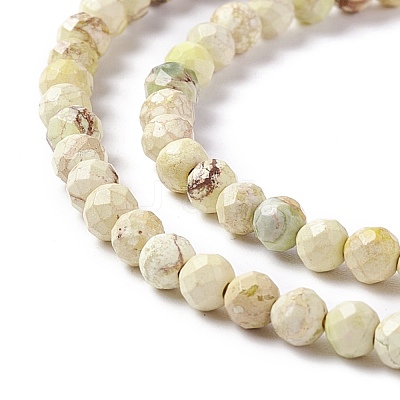 Natural Imperial Jasper Beads Strands G-L578-A07-1