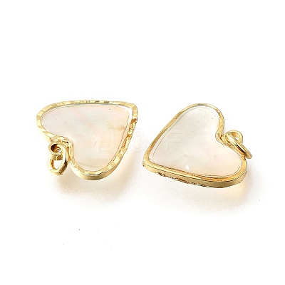 Natural White Shell & Epoxy Resin Charms KK-E794-02G-04-1