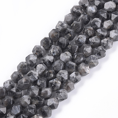 Natural Larvikite Beads Strands LS-G-S348-03-1