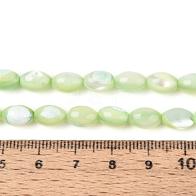 Natural Trochus Shell Beads Strands X-SHEL-K006-19-01C-1