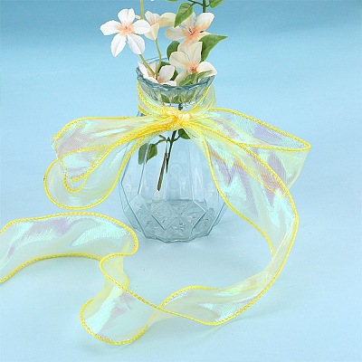 2roll Polyester Organza Ribbon DIY-SZ0010-21B-1