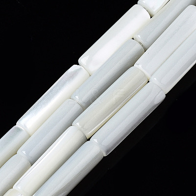 Natural Trochid Shell/Trochus Shell Beads Strands SSHEL-S266-020A-03-1