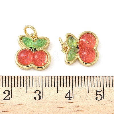 Brass Resin Charms KK-C110-24D-G-1