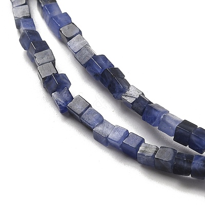 Natural Sodalite Beads Strands G-B064-A27-1