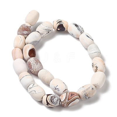 Natural Fire Crackle Agate Beads Strands G-Q169-F09-01-1