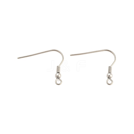 Tarnish Resistant 304 Stainless Steel Earring Hooks STAS-E147-14P-1