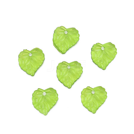 Transparent Acrylic Pendants X1-TACR-T012-05-1