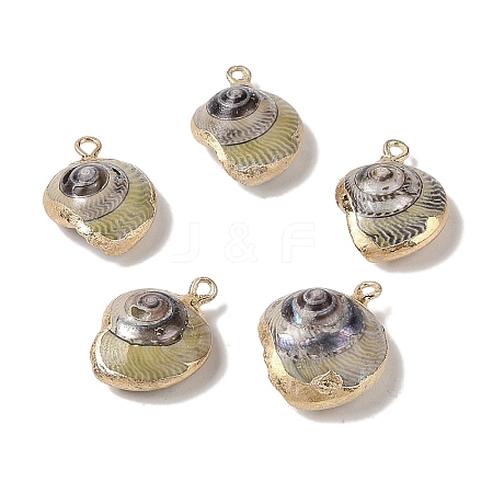 Natural Conch Pendant BSHE-H018-11G-1
