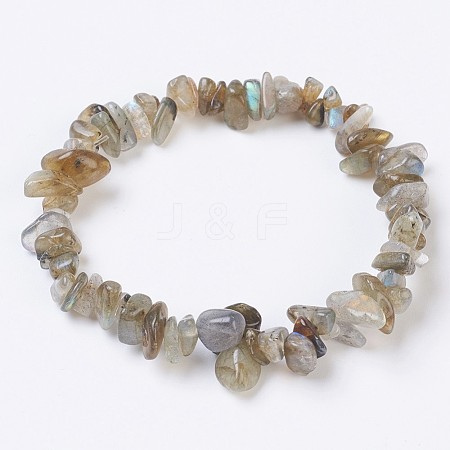 Natural Labradorite Stretch Bracelets BJEW-JB03681-07-1