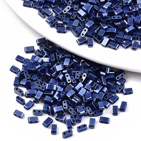 FGB 2-Hole Glass Seed Beads SEED-S031-M-SH128-1