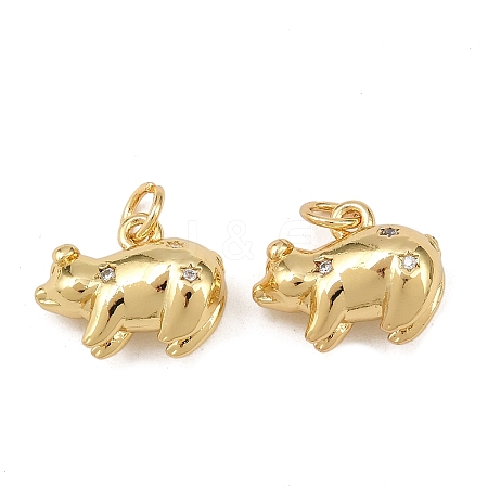Brass Cubic Zirconia Pendants X-KK-L251-53G-1