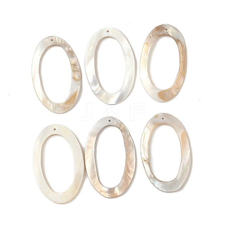 Natural Freshwater Shell Big Pendants SHEL-K006-62-1