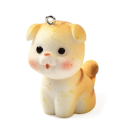 Resin Pendants LS-FIND-U031-06P-1