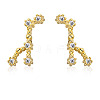 Cubic Zirconia Constellation Stud Earrings EJEW-P231-90G-07-1