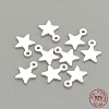925 Sterling Silver Charms X-STER-S002-30-1