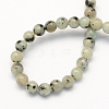 Natural Sesame Jasper/Kiwi Jasper Round Beads Strands G-S168-8mm-2