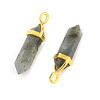 Natural Labradorite Pointed Pendants G-G902-A11-2