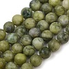 Natural Gemstone Beads GSR032-1