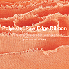 10M Polyester Frayed Ribbon OCOR-WH0094-01C-4