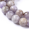 Natural Amethyst Beads Strands X-G-L555-01-8mm-2