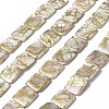 Drawbench Style Natural Freshwater Shell Beads Strands SHEL-C003-01-1