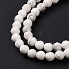 Natural Howlite Beads Strands G-H273-02B-5