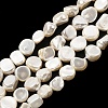 Electroplated Shell Pearl Beads Strands BSHE-B008-06B-1
