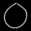 Natural Freshwater Shell Beads Strands SH-CBA2978-06A-3