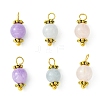 Natural Mixed Gemstone Round Charms PALLOY-JF02219-1