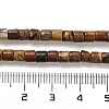 Natural Picasso Stone/Picasso Jasper Beads Strands G-F765-F02-01-5