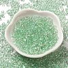 Glass Seed Beads SEED-K009-04A-07-2