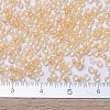 MIYUKI Round Rocailles Beads SEED-G007-RR0202-4