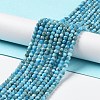 Natural Apatite Beads Strands G-J400-E01-01-2