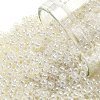 TOHO Round Seed Beads SEED-JPTR11-0663-1