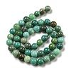 Natural Green Grass Agate Beads Strands G-NH0001-D03-02-3