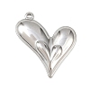 304 Stainless Steel Pendants STAS-C154-05B-P-1