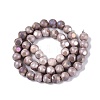 Ombre Effect Dyed Electroplate Opaque Glass Beads Strands EGLA-Q130-01A-03-3