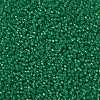 MIYUKI Round Rocailles Beads SEED-JP0009-RR0646-3