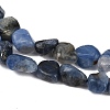 Natural Kyanite Beads Strands G-Q060-E17-4
