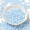 6/0 Glass Seed Beads X1-SEED-M012-01A-15-2