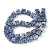 Natural Blue Spot Jasper Beads Strands G-D338-A02-3