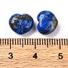 Natural Lapis Lazuli Beads G-K369-03E-3