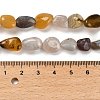 Natural Botswana Agate Beads Strands G-P497-01E-18-5