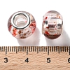 Transparent Two-Color Brass Cores Acrylic European Beads OACR-M024-05P-06-3