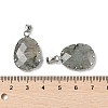 Natural Labradorite Pendants G-H086-01P-05-3