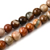 Natural Picture Jasper Beads Strands G-S390-07-6mm-2