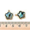Natural Paua Shell Pendants STAS-G397-12G-02-3